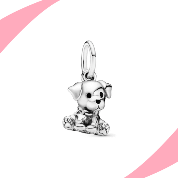 Charm Perrito